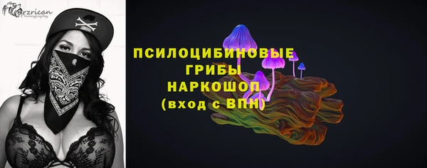 таблы Белокуриха