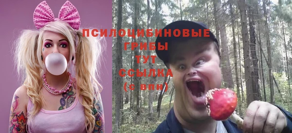 таблы Белокуриха