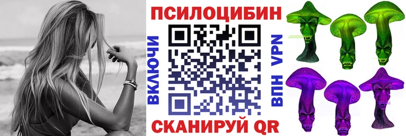 Купить  Новый Оскол  Псилоцибиновые грибы GOLDEN TEACHER 